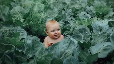 С Днем племянниц и племянников 2025 - милые открыточки и короткая проза для поздравления с любовью