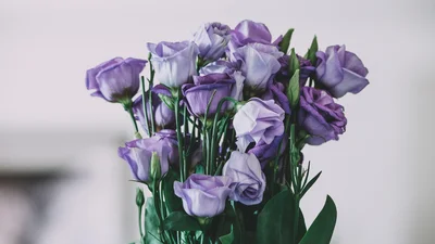 Душевные поздравления с именинами Елены, которые согревают сердце