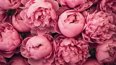 Привітання з Днем ангела Ольги 2025 - листівочки та проза, від яких тьохкає сердечко