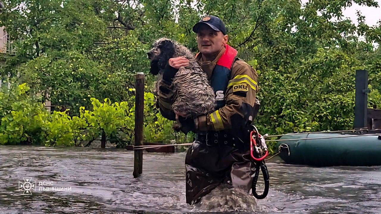 Львов под водой: непогода вызвала подтопление в городе и наделала немалый ущерб - 740108 Львов под водой: непогода вызвала подтопление в городе и наделала немалый ущерб - фото 740108