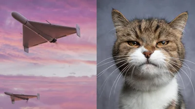 Мемы про шахеды и ракеты: черный юмор, как стиль жизни украинцев