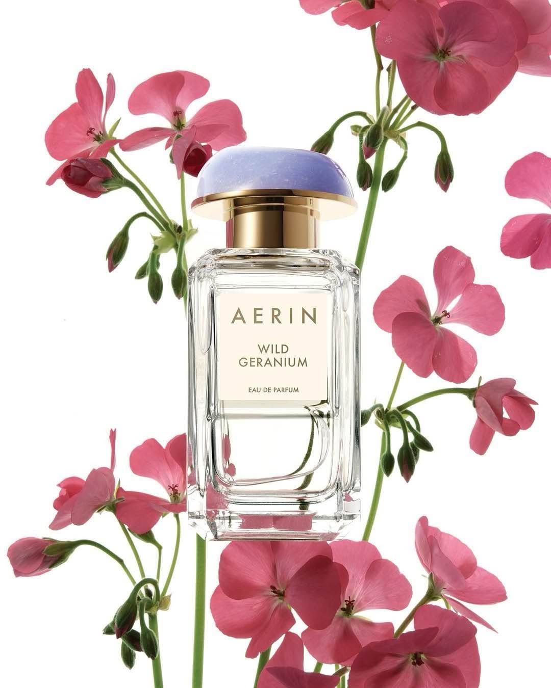 Aerin – Wild Geranium - 740479 Aerin – Wild Geranium - фото 740479