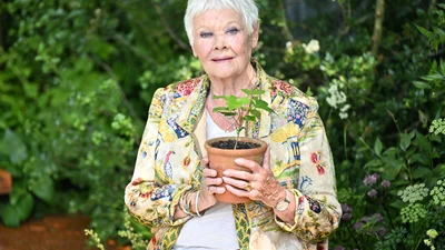 Визажист Джуди Денч назвал сыворотку, благодаря которой кожа актрисы сияет