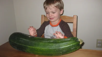 Меми про кабачки: коли сезон лише почався, а ти вже хочеш утекти від цього овочевого апокаліпсису