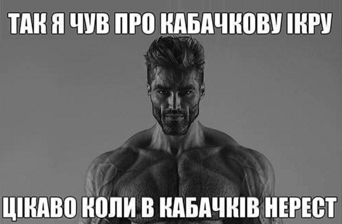 Мемы о кабачках: когда сезон только начался, а ты уже хочешь убежать от этого овощного апокалипсиса - фото 741389