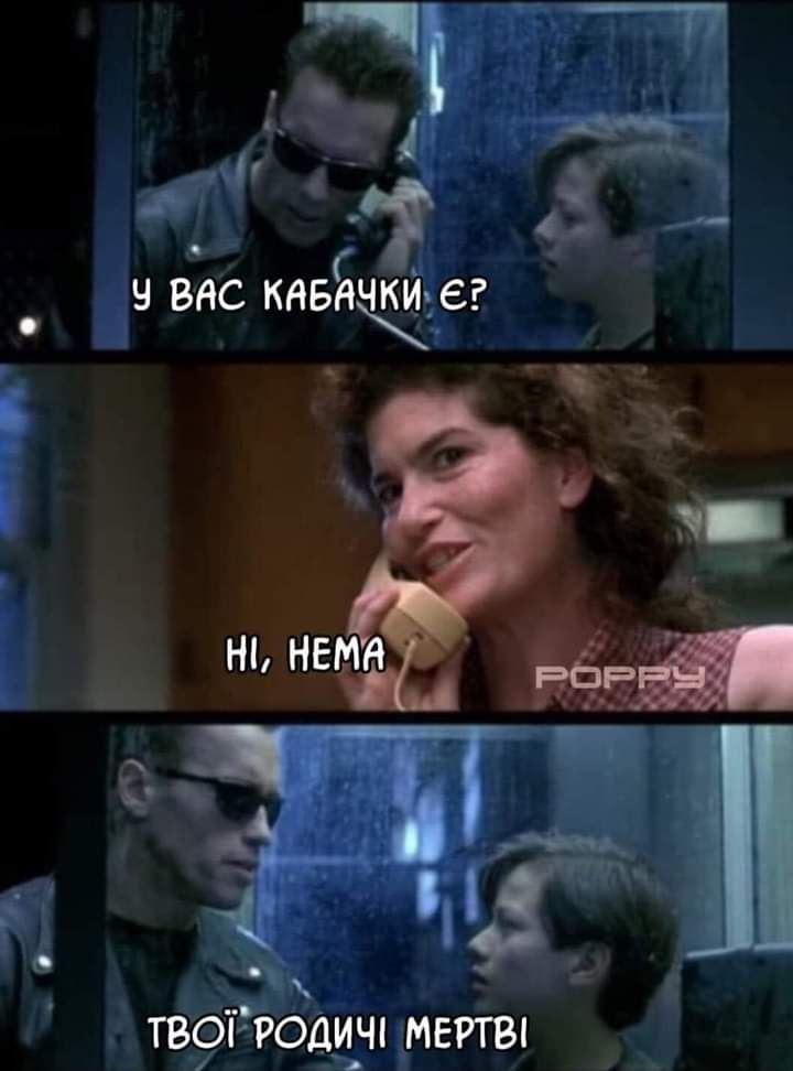 Мемы о кабачках: когда сезон только начался, а ты уже хочешь убежать от этого овощного апокалипсиса - фото 741390