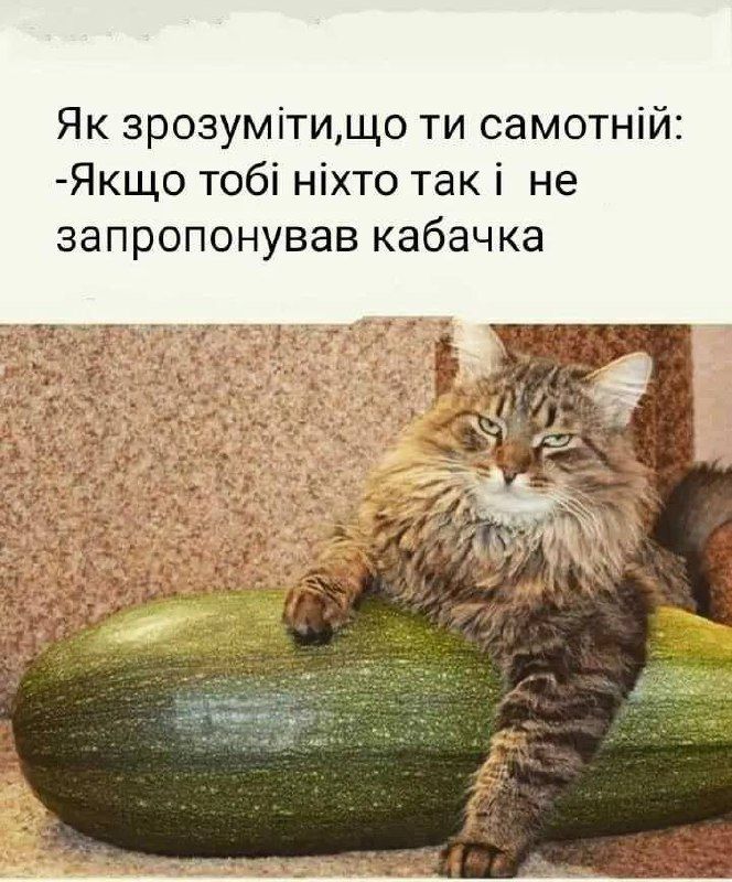 Мемы о кабачках: когда сезон только начался, а ты уже хочешь убежать от этого овощного апокалипсиса - фото 741393