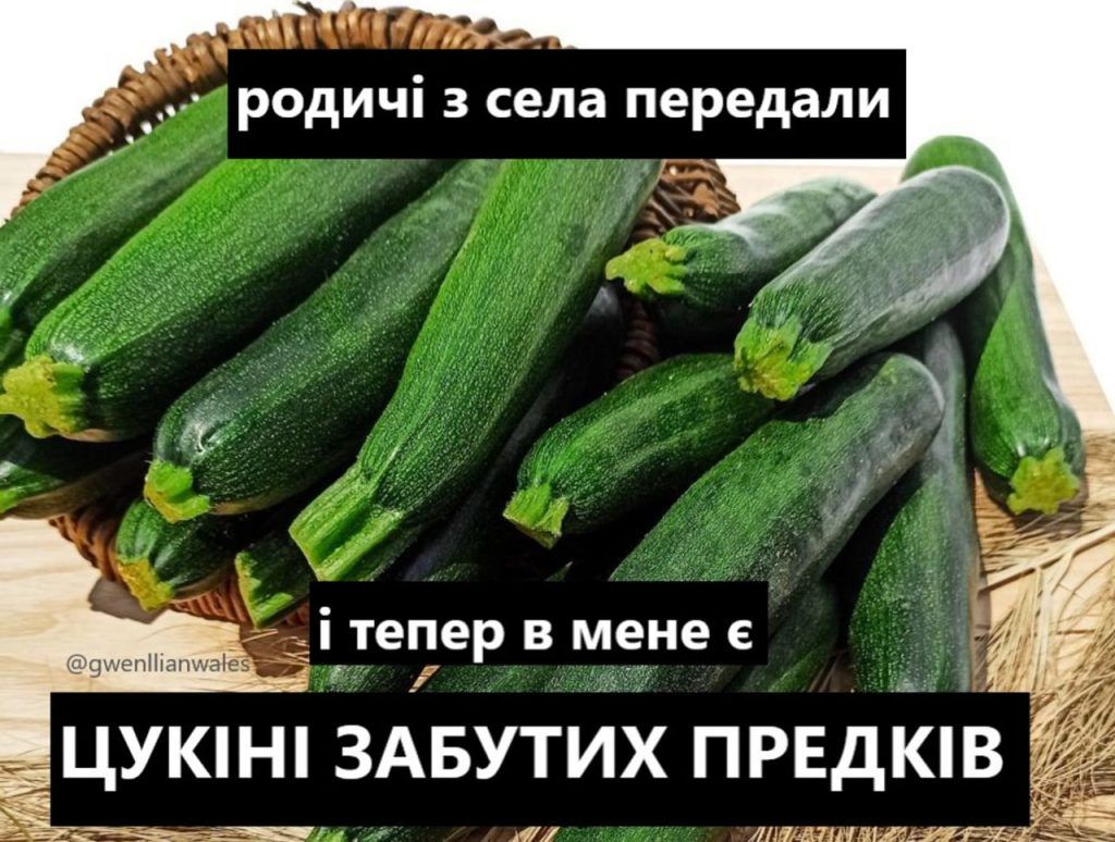 Мемы о кабачках: когда сезон только начался, а ты уже хочешь убежать от этого овощного апокалипсиса - фото 741396