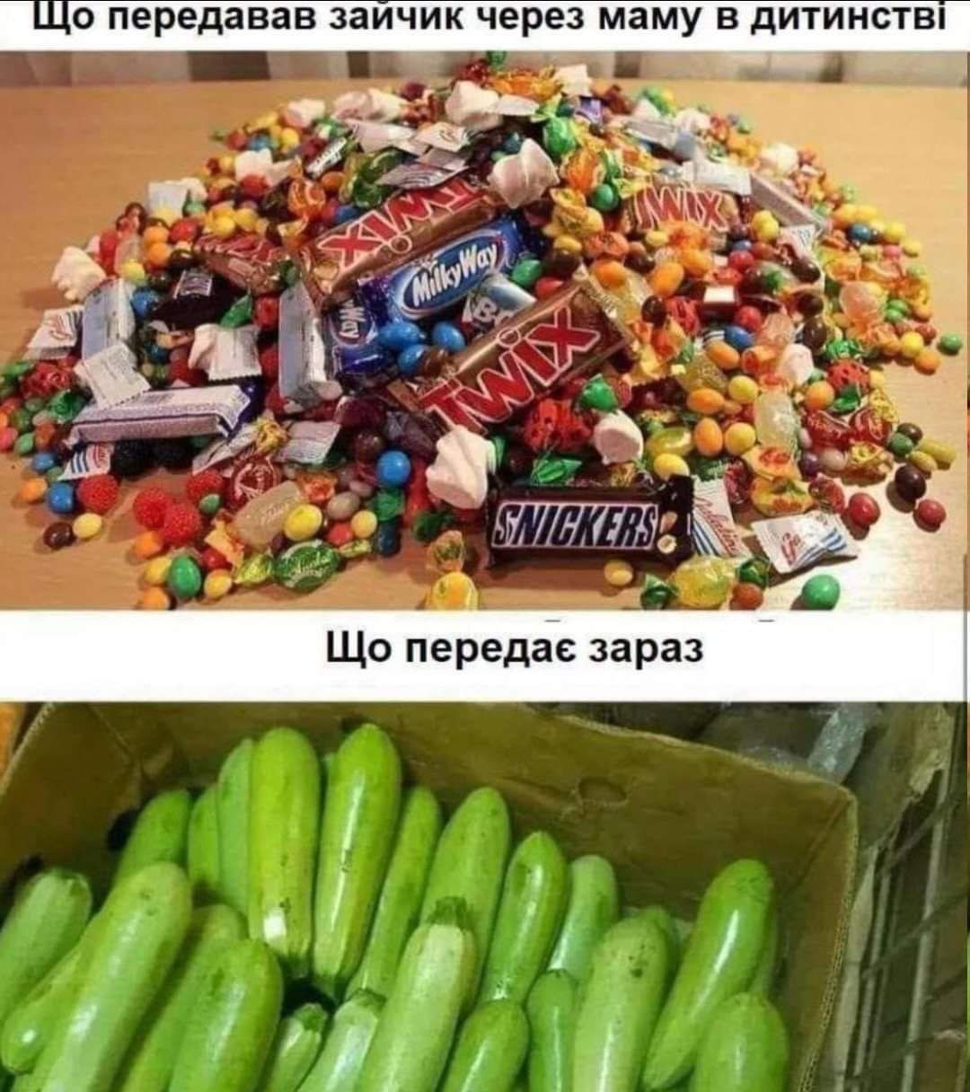 Мемы о кабачках: когда сезон только начался, а ты уже хочешь убежать от этого овощного апокалипсиса - фото 741397