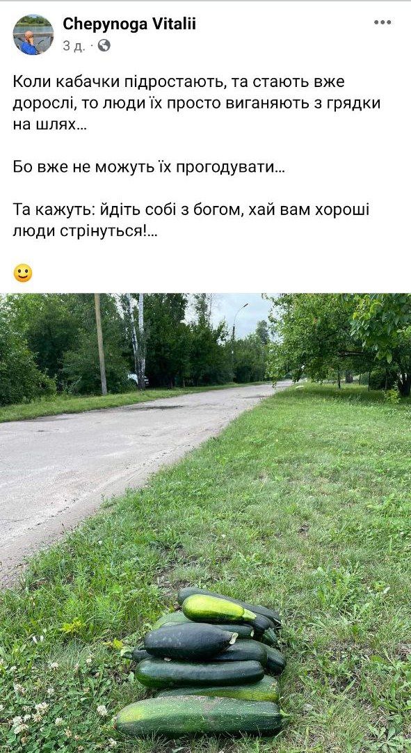 Мемы о кабачках: когда сезон только начался, а ты уже хочешь убежать от этого овощного апокалипсиса - фото 741399