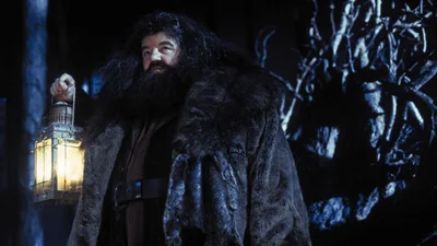 Комик превратился в любимого персонажа "Гарри Поттера" – и нас накрыло волной ностальгии