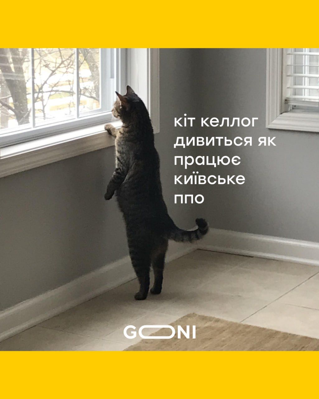 Мемы про Китп Келлога, который стал оберегом жителей Киева - фото 742450