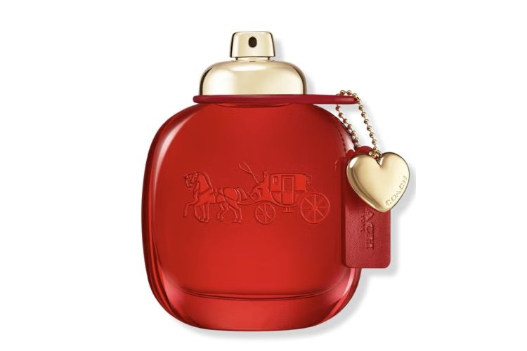 Coach Love - 743521 Coach Love - фото 743521
