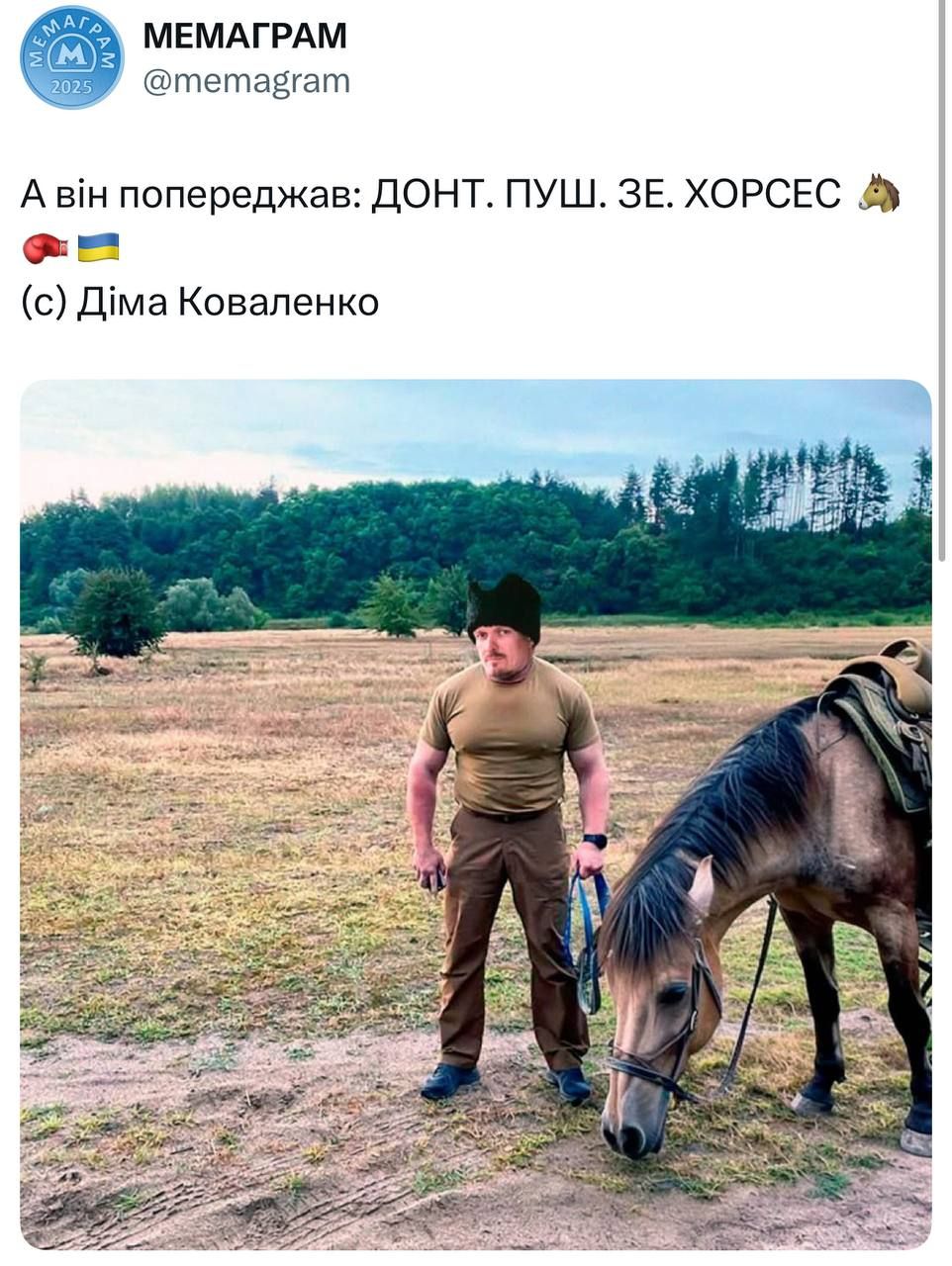 После боя Усика с Дюбуа соцсети в восторге от фразы 'Don't push the horses': подборка лучших мемов - фото 743777
