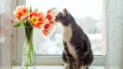 День ангела Марии 2025: открытки и слова, которые касаются сердца и души