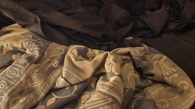 Оптическая иллюзия, которая точно собьет с толку - где на картинке пес