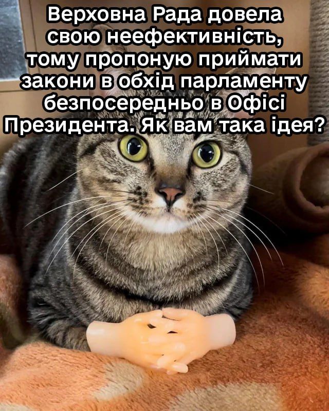 Мемы с реакцией украинцев на закон о НАБУ и САП, который поддержал Зеленский - фото 745063