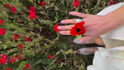 Успіння Святої Анни 2025: три потужні молитви для захисту і благословення