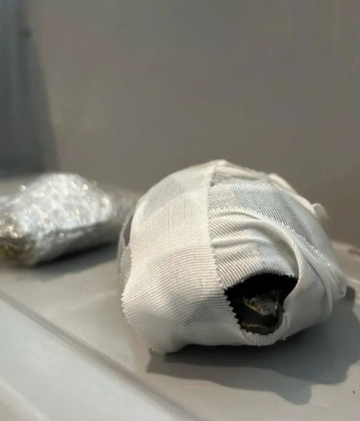 Женщина хотела нелегально провезти черепах через границу и сделала себе из них себе грудь - 745847 Женщина хотела нелегально провезти черепах через границу и сделала себе из них себе грудь - фото 745847