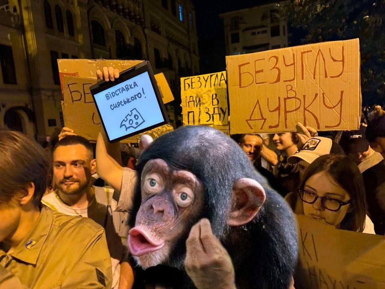 Марьяна Безуглая попала в мемы, потому что пришла на митинг против закона, за который сама проголосовала - 746035 Марьяна Безуглая попала в мемы, потому что пришла на митинг против закона, за который сама проголосовала - фото 746035
