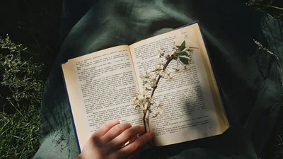 День святого Пантелеймона 2025 - всі заборони цього дня