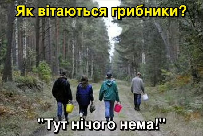 Мемы о грибах и грибниках как лучшее доказательство того, что сезон официально начался - 746831 Мемы о грибах и грибниках как лучшее доказательство того, что сезон официально начался - фото 746831