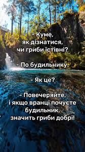 Мемы о грибах и грибниках как лучшее доказательство того, что сезон официально начался - 746834 Мемы о грибах и грибниках как лучшее доказательство того, что сезон официально начался - фото 746834