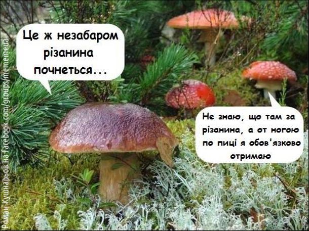 Мемы о грибах и грибниках как лучшее доказательство того, что сезон официально начался - 746839 Мемы о грибах и грибниках как лучшее доказательство того, что сезон официально начался - фото 746839