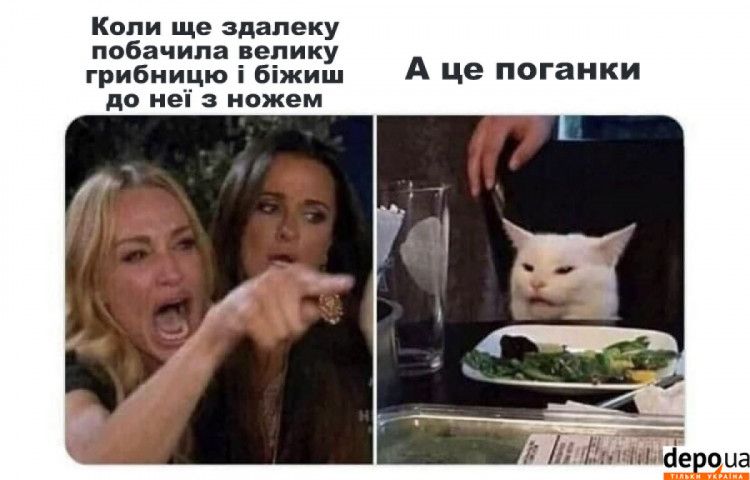 Мемы о грибах и грибниках как лучшее доказательство того, что сезон официально начался - 746844 Мемы о грибах и грибниках как лучшее доказательство того, что сезон официально начался - фото 746844