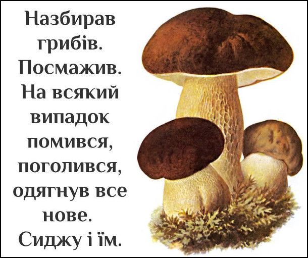 Мемы о грибах и грибниках как лучшее доказательство того, что сезон официально начался - 746846 Мемы о грибах и грибниках как лучшее доказательство того, что сезон официально начался - фото 746846
