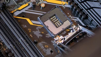 У Китаї створюють комах-кіборгів - для чого вони потрібні