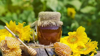 Медовый Спас 2025 - уникальная подборка поздравлений для всей семьи с картинками и прозой