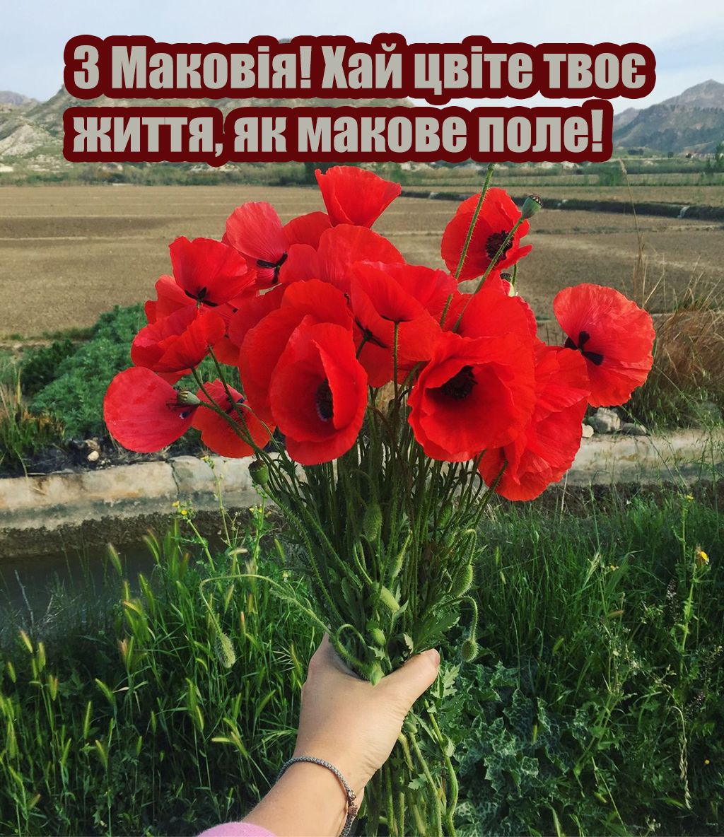 Поздравления с Маковея 2025 для всей семьи в стихах и картинках - 748057 Поздравления с Маковея 2025 для всей семьи в стихах и картинках - фото 748057