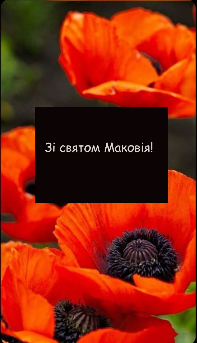 Поздравления со светлым летним праздником Маковея 2025 - милые картинки и короткая проза - 748070 Поздравления со светлым летним праздником Маковея 2025 - милые картинки и короткая проза - фото 748070