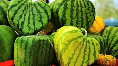 Добірка мемів про кавун, які тобі точно варто передивитись