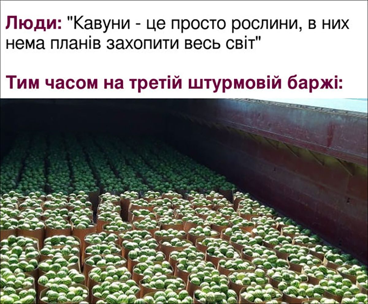 Добірка мемів про кавун, які тобі точно варто передивитись - 748892 Добірка мемів про кавун, які тобі точно варто передивитись - фото 748892