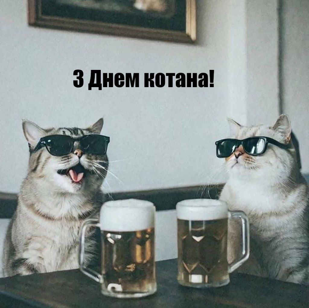 ТОП 20 открыток ко Всемирному дню кота 2025, которые хочется переслать всем - 749720 ТОП 20 открыток ко Всемирному дню кота 2025, которые хочется переслать всем - фото 749720