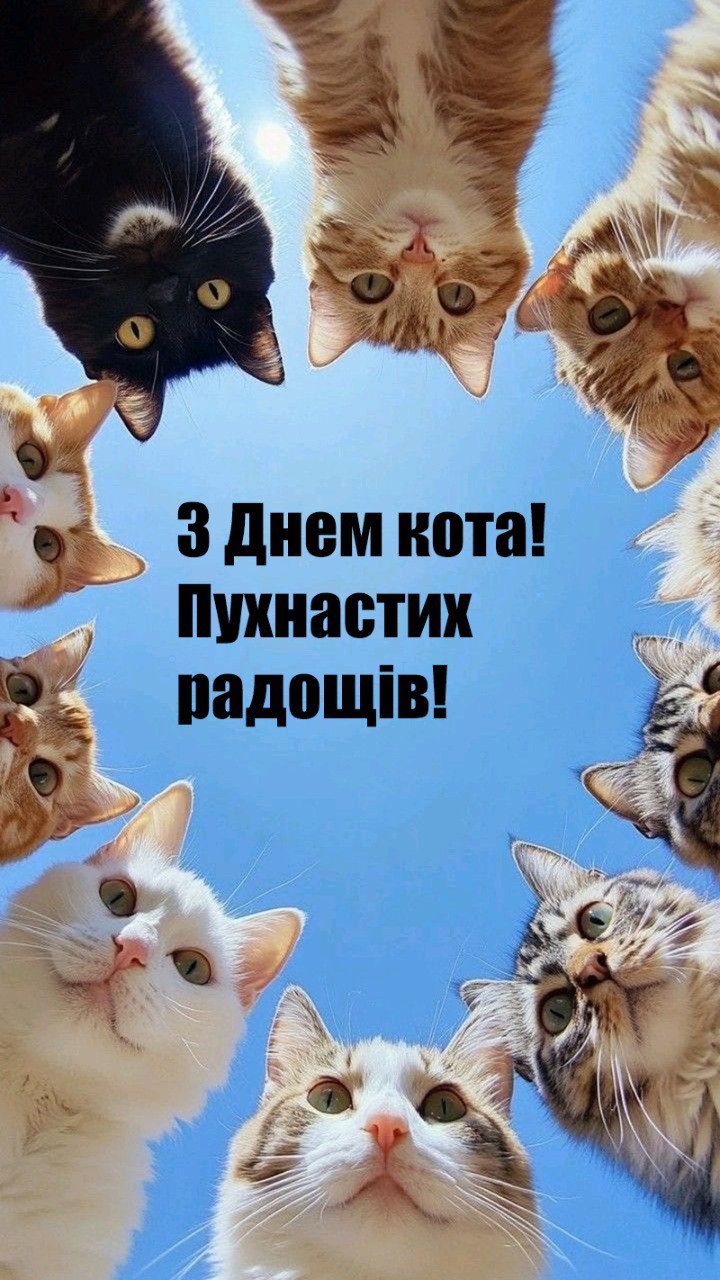 ТОП 20 открыток ко Всемирному дню кота 2025, которые хочется переслать всем - 749726 ТОП 20 открыток ко Всемирному дню кота 2025, которые хочется переслать всем - фото 749726
