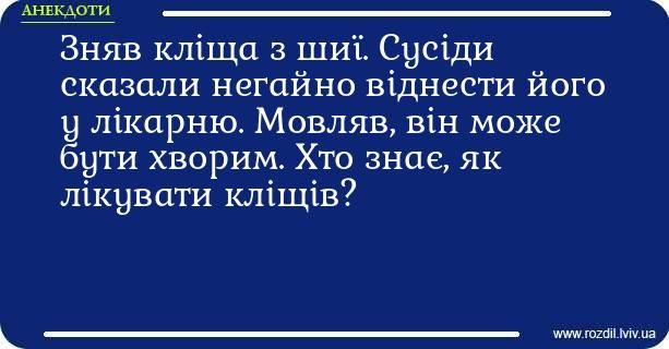 Меми про кліщів: коли похід у ліс перетворюється на втечу від малих підступних смоктунів - фото 751259