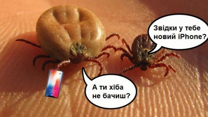 Меми про кліщів: коли похід у ліс перетворюється на втечу від малих підступних смоктунів - фото 751260