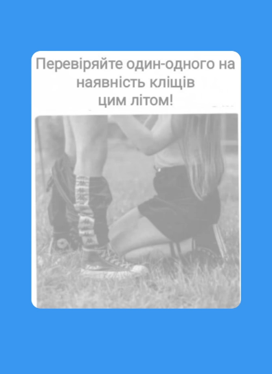 Меми про кліщів: коли похід у ліс перетворюється на втечу від малих підступних смоктунів - фото 751263