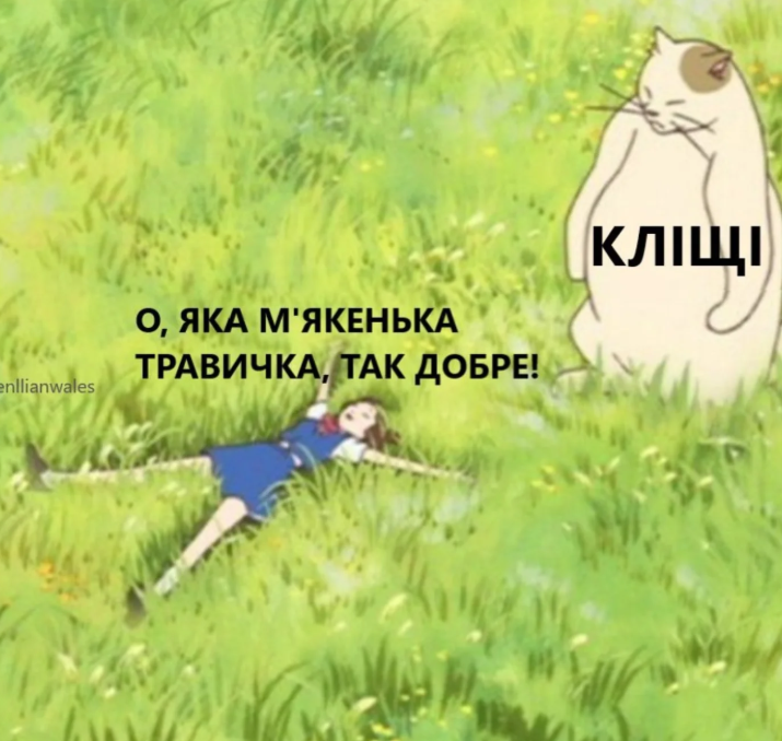 Меми про кліщів: коли похід у ліс перетворюється на втечу від малих підступних смоктунів - фото 751265