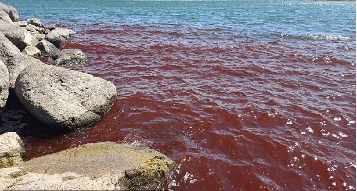 Яскраво-червоні хвилі Галілейського моря. - 751427 Яскраво-червоні хвилі Галілейського моря. - фото 751427