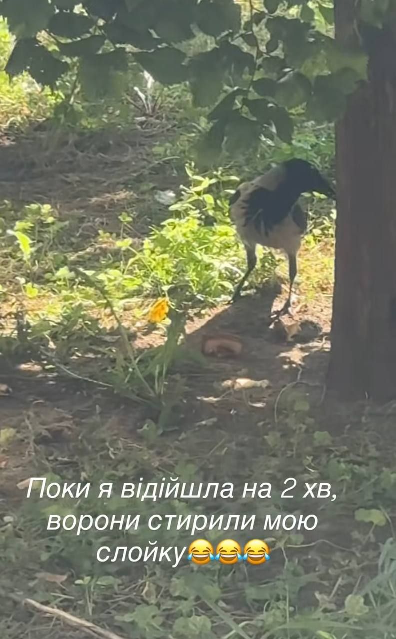 Настю Коротку обікрала ворона-лодюжка - 751664 Настю Коротку обікрала ворона-лодюжка - фото 751664