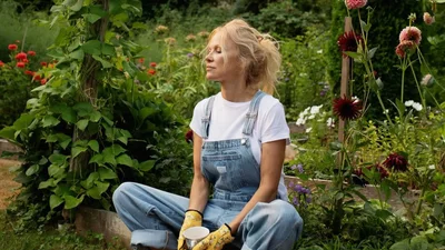 Господинька: Памела Андерсон продає солоні огірочки з трояндою на зиму