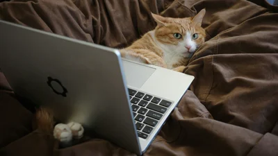 А ведь еще только вторник: 5 черных комедий для тех, кто устал от всего