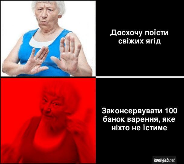 Меми про закрутки: захоплення усіх бабусь, сімейна традиція та незмінна українська класика - 752867 Меми про закрутки: захоплення усіх бабусь, сімейна традиція та незмінна українська класика - фото 752867