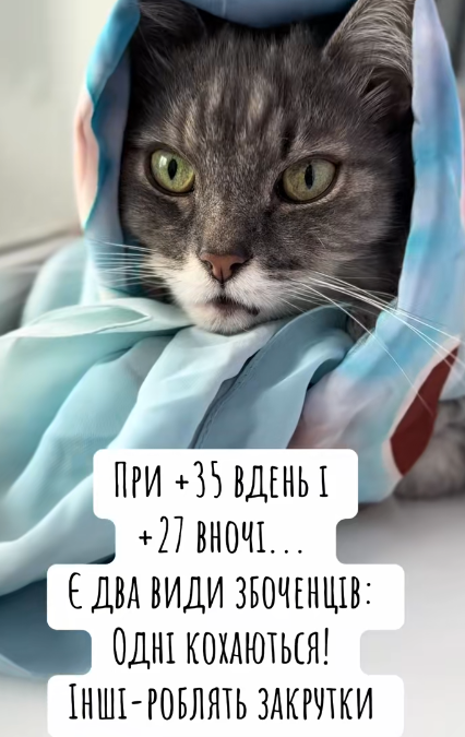 Меми про закрутки: захоплення усіх бабусь, сімейна традиція та незмінна українська класика - 752870 Меми про закрутки: захоплення усіх бабусь, сімейна традиція та незмінна українська класика - фото 752870