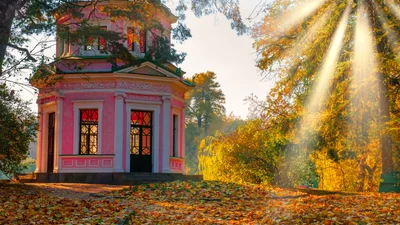 Сімейний відпочинок: куди можна поїхати з дітьми, щоб нікому не було нудно