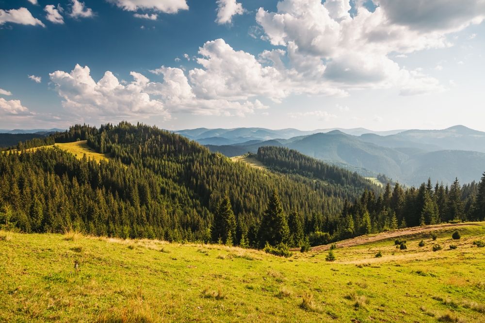 Путешествие в стиле slow travel: где в Украине замедлиться и действительно почувствовать момент - 753797 Путешествие в стиле slow travel: где в Украине замедлиться и действительно почувствовать момент - фото 753797